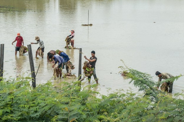 GAMBODZA kylanraitti 012